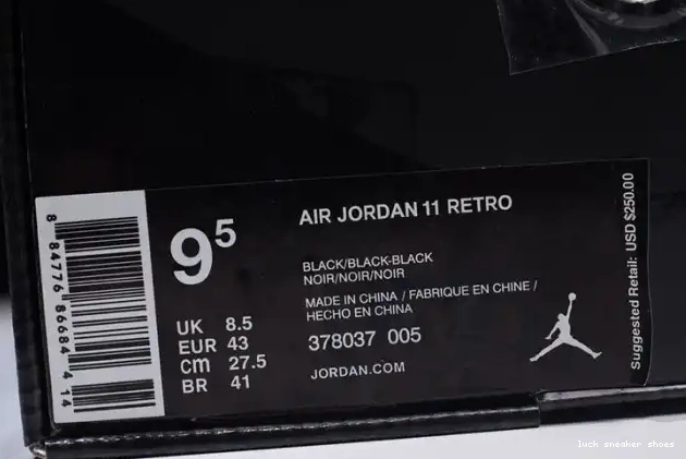 Rep LUCY 11 and Gown Cap Air 378037-005 black Jordan 0416